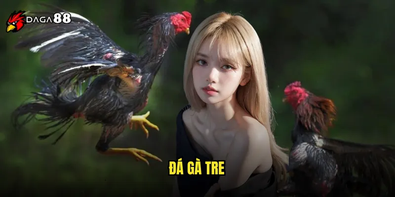 đá gà tre