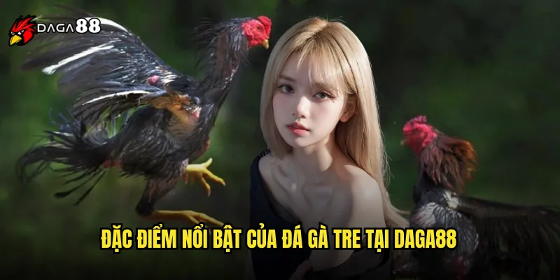 Đặc điểm nổi bật của đá gà tre tại DAGA88