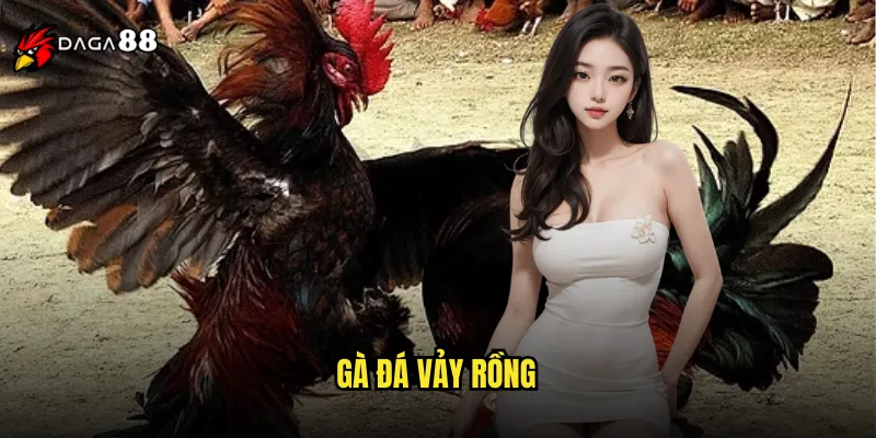 gà đá vảy rồng