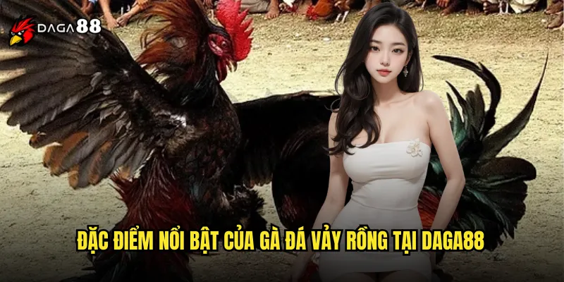 Đặc điểm nổi bật của gà đá vảy rồng tại DAGA88