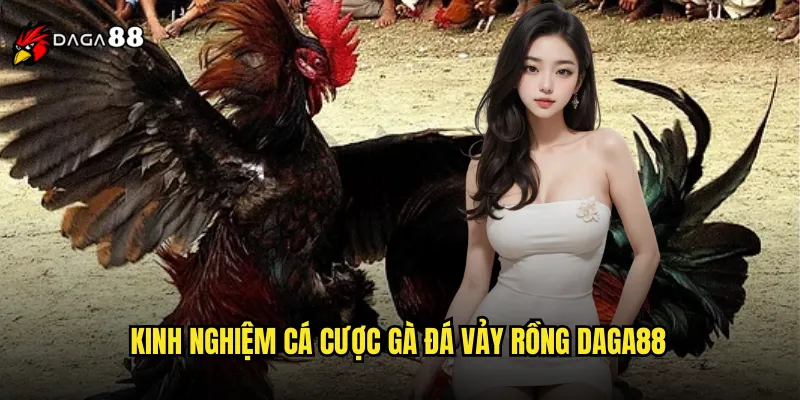 Kinh nghiệm cá cược gà đá vảy rồng DAGA88