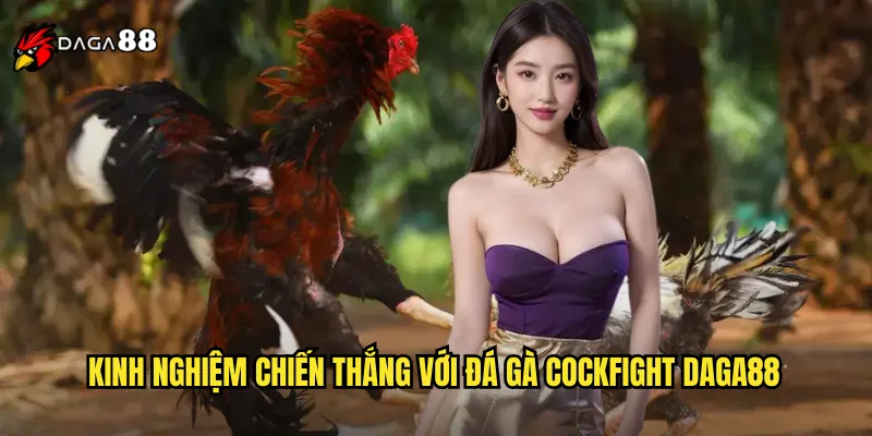 Đá Gà Cockfight DAGA88 Phong Cách Quốc Tế Đẳng Cấp Thế Giới 3 Kinh nghiệm chiến thắng với đá gà Cockfight DAGA88