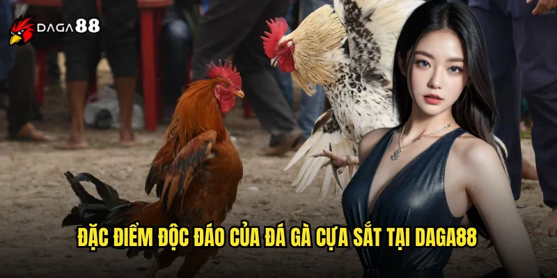 Đá Gà Cựa Sắt DAGA88 Trận Đấu Sinh Tử Kịch Tính Nhất 2 Đặc điểm độc đáo của đá gà cựa sắt tại DAGA88