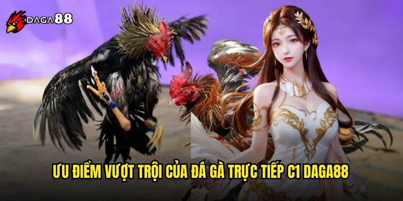 Đá Gà Trực Tiếp C1 DAGA88 Live Stream Chất Lượng Ultra HD 2 Ưu điểm vượt trội của đá gà trực tiếp C1 DAGA88