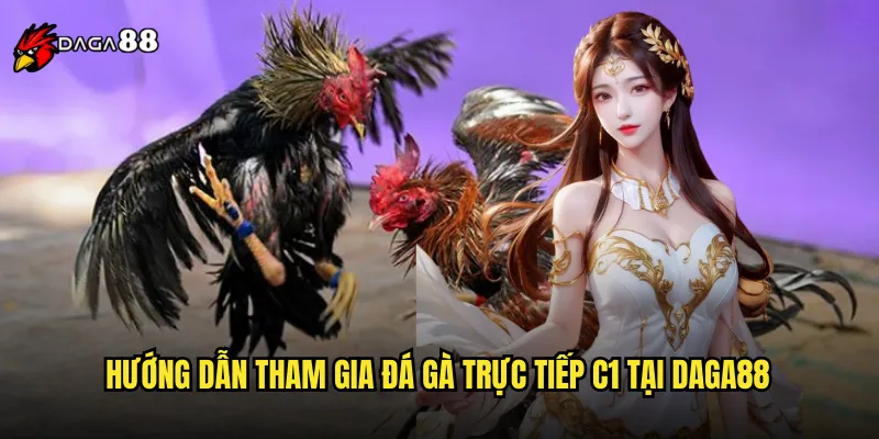 Đá Gà Trực Tiếp C1 DAGA88 Live Stream Chất Lượng Ultra HD 3 Hướng dẫn tham gia đá gà trực tiếp C1 tại DAGA88