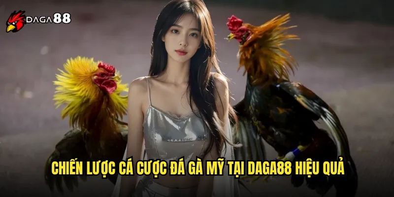 Đá Gà Mỹ DAGA88 Phong Cách American Gamefowl Đỉnh Cao 3 Chiến lược cá cược đá gà Mỹ tại DAGA88 hiệu quả
