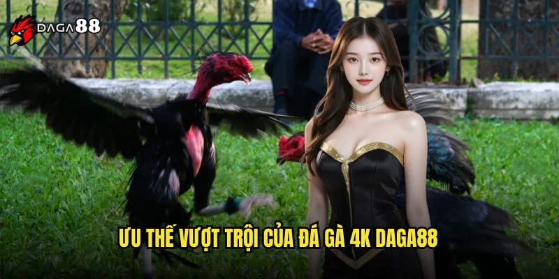 Đá Gà 4K DAGA88 Trải Nghiệm Siêu Nét Như Có Mặt Tại Trường Gà 3 Ưu Thế Vượt Trội Của Đá Gà 4K DAGA88